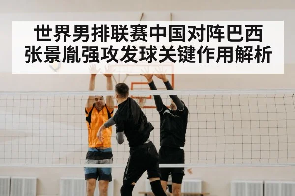 volleyball net block
